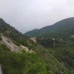 Traivicolidifoligno 3*