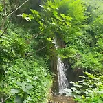 Traivicolidifoligno Gæstehus 3*