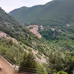 Traivicolidifoligno