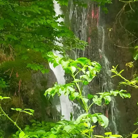 Traivicolidifoligno 3* Φολίνιο