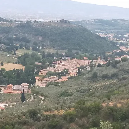 Traivicolidifoligno 3*