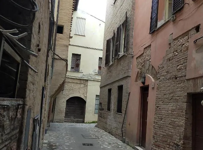 Traivicolidifoligno 3*