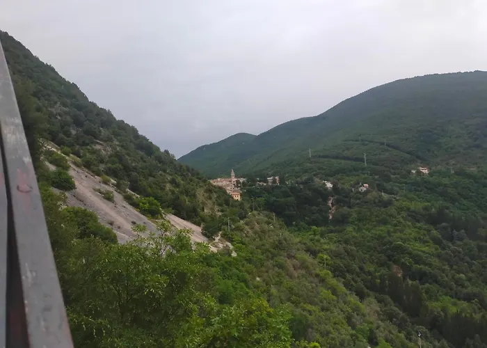 Traivicolidifoligno 3*