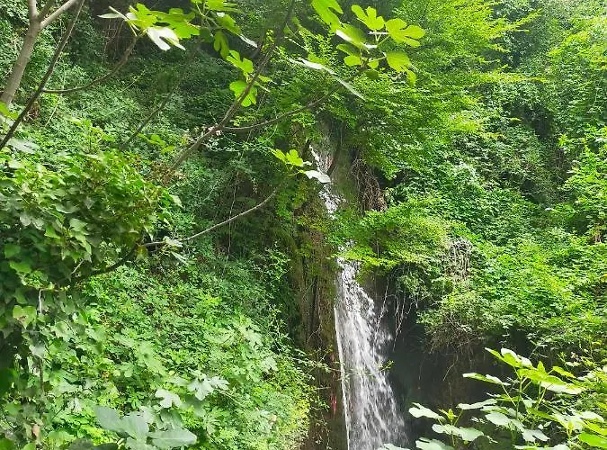 Traivicolidifoligno Affittacamere 3*