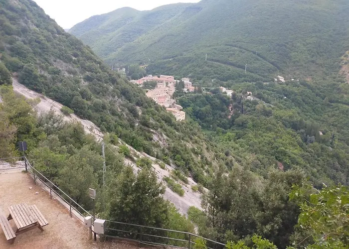 Traivicolidifoligno 3*