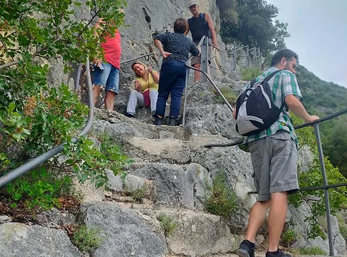 Affittacamere Traivicolidifoligno