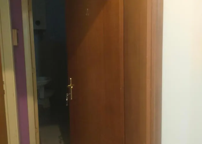 Traivicolidifoligno 3*